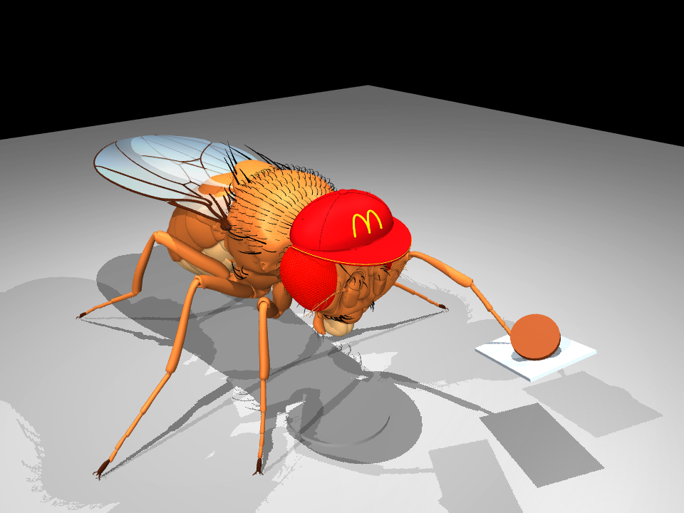 Preview of Fly Burger: five certified flips on one seed