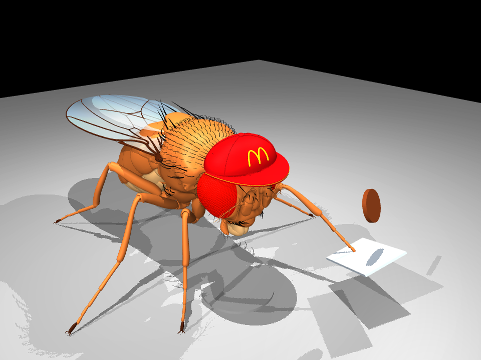Fly Burger simulation during the first airborne burger flight.