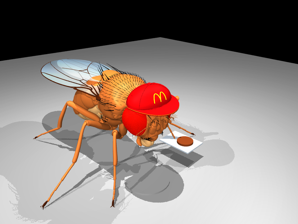 Fly Burger simulation at the second burger catch.